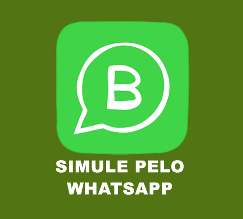 SIMULAR ON-LINE AMIL EMPRESARIAL